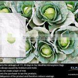 California Bell Pepper Protective Bag thumbnail-5