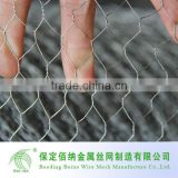 High Quality Chicken Wire Mesh Manufacture