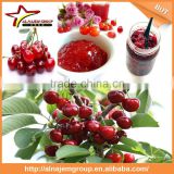 hot sale Full automatic industrial cherry sauce maker machine high viscosity Production Line rose paste