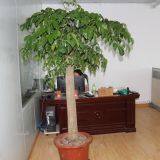 Anhui Zhongxinying Industrial Co.,Ltd company overview - view 3 thumbnail