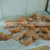 Bird Nest thumbnail-3