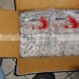 Frozen Shrimp thumbnail-1