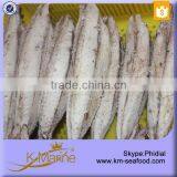 China Manufacturers Wholesale Precooked Frozen Bonito Tuna Loin in Fish thumbnail-1