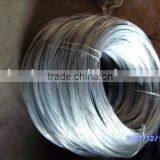 galvanized wire/iron wire /galvanized iron wire