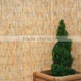 Reed Screen thumbnail-2