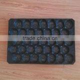 Mexico Food Grade PP Plastic 39*59cm Tomato Packaging Tray thumbnail-6