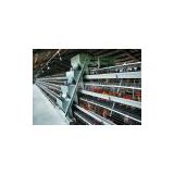 Professional design automatic ladder chicken cage