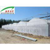 Large Multi-Span PC Venlo Greenhouse thumbnail-2