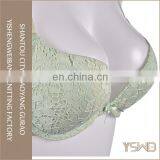 Customized Wholesale Cheap Oem Eco Free Sample Ladies Stylish Sexy Bra thumbnail-3