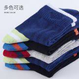 Sport Socks， OEM ODM Socks Manufacturer , Cotton Sport Men Socks thumbnail-2