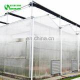Multi-span Hydroponic Blackout PC Sheet Greenhouse thumbnail-7