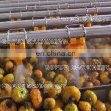 SUS 304 Stainless Steel High Quality Fruit and Vegetable Washing Machine for Mango/tomato/pear/kiwifruit thumbnail-5