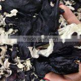 White Back Black Edible Fungus Dried