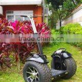 2000W Big Wheel Self-electric Chariot