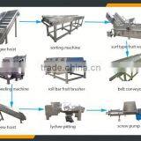 Leader Stainless Steel Fruit Production Line for Lychee With CE & ISO thumbnail-5