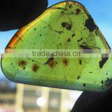 Polished amber with bugs