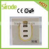 Satin silver Euro standard wall USB Power outlet