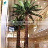 Indoor Preserved Washingtonia Palm Tree Fake Tropical Big Palm Tree