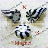 Magnetic Ear Tapers [ME-759]