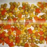 Iran Canned Mix Vegetable 300gr With Best Quality and Competitive Price thumbnail-2