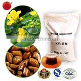 Baked Cassia Seed/ China Cassia Seed Tea thumbnail-2