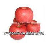 Famous China YanTai Best Price Fresh Fuji Apple thumbnail-5