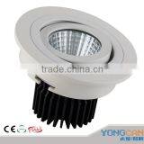 Led Ceiling Light