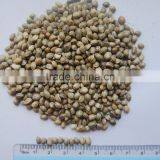 Private Label Organic Hulled Hemp Seed,Hemp Seeds,Shelled Hemp Seeds thumbnail-5