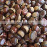 Fresh Chestnuts For Good Quality thumbnail-1
