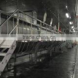 Automatic Poultry Farm Equipment for Arabia Countries thumbnail-1