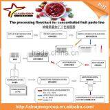 Best Price Full Automatic Industrial Stawberry Sauce Maker Machine High Viscosity Production Line Strawberry Paste thumbnail-6