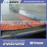 Large Output Frozen Potato Shrimp Freezer With Good Quality thumbnail-2