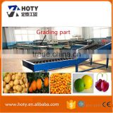 orange washing machine manufacturer waxing drying fruit and grading machine