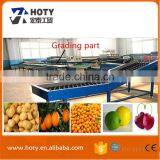 orange washing machine manufacturer waxing drying fruit and grading machine