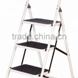 EasyComforts Step Ladder Stool Combo