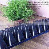 Custom High Quality Black Shining 98 Cell Plastic Nursery Pots Seed Trays for Flower Propagation thumbnail-5
