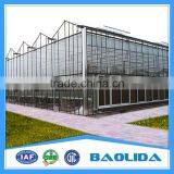 Steel Structure Glass House Glass Greenhouse thumbnail-5