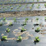 Black or Black/silver or Black/white Mulch Film for Agriculture thumbnail-1