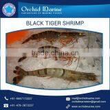 Widely Demanded Fresh and Natural Black Tiger Shrimps From Trusted Exporter thumbnail-1