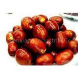 Xinjiang Chinese Dates thumbnail-2