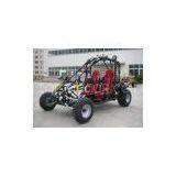 250CC Automatic Dune Buggy