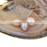 2017 New Mixed Colors Freshwater Cultured Pearl Oyster With Rice Shape thumbnail-1