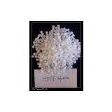 HDPE(injection Moulding Grade)