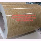 PPGL Steel sheet/Galvalume steel coil