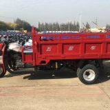 Gasoline Tricycle Double Shock Absorber Trike Three Wheeler Cargo Loader thumbnail-4