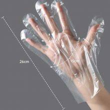 Disposable PE Gloves Manufacturer thumbnail-1