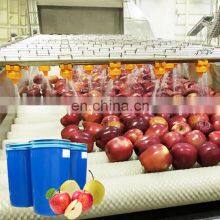 Apple Fruit Juice Juicer Concentrate Puree Jam Pulp Powder Wine Vinegar Cider Making Machine Processing Plant Production Line