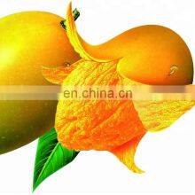 Shanghai Factory industrial Fruit pulper / mango pulping machine / fruit jam making machine vegetable tomato paste equipment