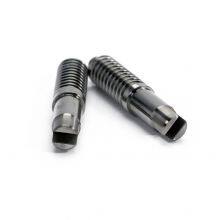Hobbed Worm Gear, Automotive Engine Worm Shaft