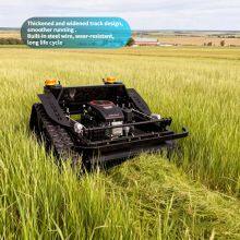 48V Remote Operated Crawler Lawn Mower 800mm Cutting Width 0-60° Slope Mower 200m Remote Control Grass Cutter thumbnail-4